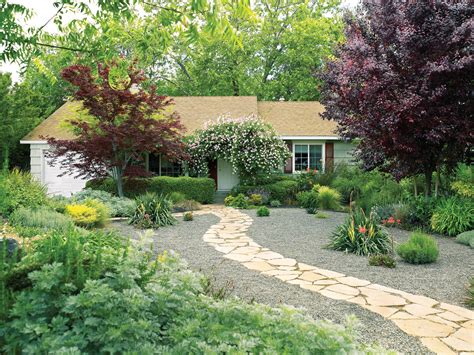 Lessons From A Lawn Free Makeover Sunset Magazine Sunset Magazine