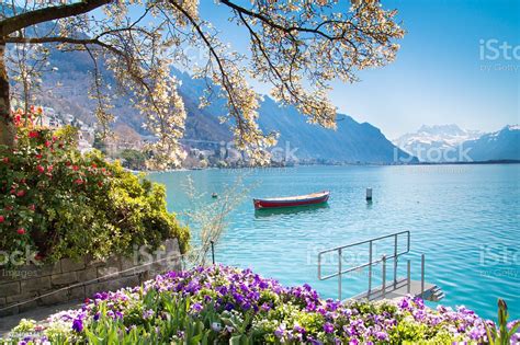 Flowers Mountains And Lake Geneva In Montreux Switzerland Stock Photo