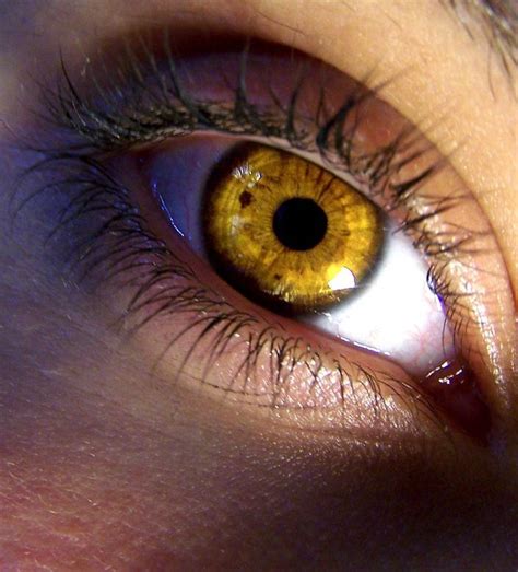 Jest Aesthetic Eyes Yellow Aesthetic Pretty Eyes Beautiful Eyes
