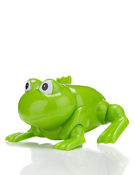 Wind Up Frog Toy Mands