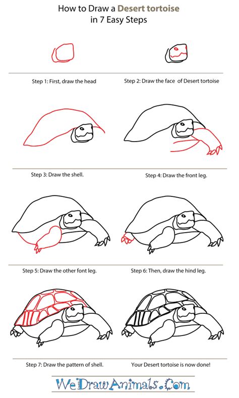 How To Draw Easy Animals Step By Step Image Guide Easy Drawings
