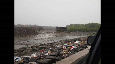 Environmentalists Claim Mangroves Being Destroyed At Karanja Jetty In