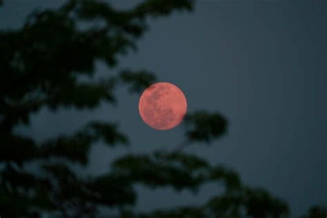 Heres How Hoosiers Can See The Pink Supermoon That Will Dominate The Sky