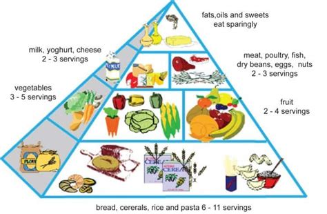 Type 2 Diabetes Food Pyramid Diabeteswalls
