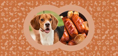 Can Dogs Eat Sausage Is It Safe For Them Pawut