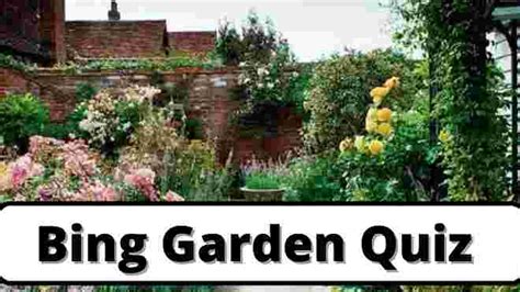 This video learn how to reset windows spotlight preferences in windows 10. All Bing Garden Quiz Greatest Informative 2021 - Windows ...
