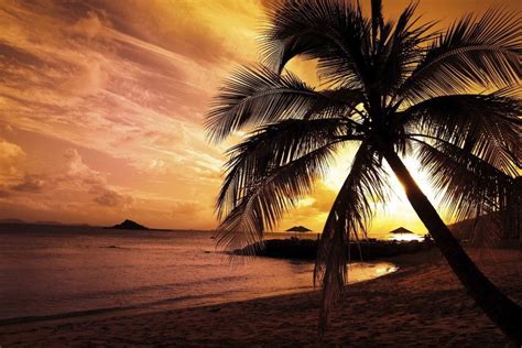 Sunset Beach Background ·① Wallpapertag