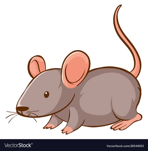 Gray Mouse On White Background Royalty Free Vector Image