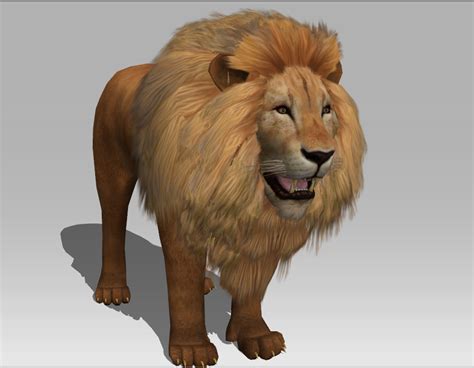 Lion 3d Model Free Ubicaciondepersonascdmxgobmx