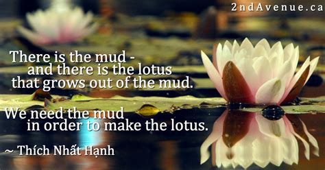 Lotus In The Mud 2nd Avenue