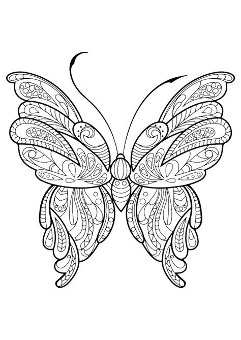 Butterfly Life Cycle Coloring Page at GetColorings.com | Free printable