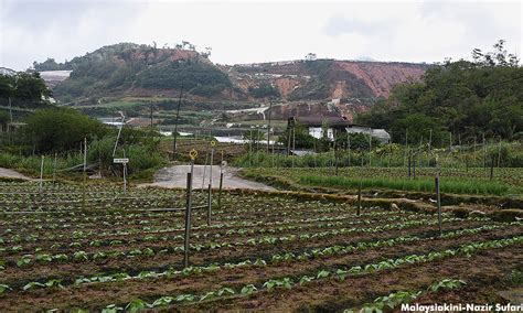 Mardi ditubuhkan pada 28 oktober 1969 di bawah akta mardi 1969. Tangani masalah pertanian di Cameron Highlands - ADUN