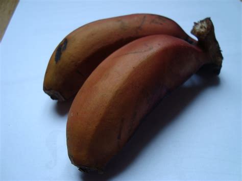 Banana Da Casca Roxa