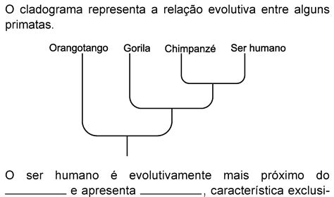 Ufrgs Rs Os Cinco Cladogramas Das Alternativas