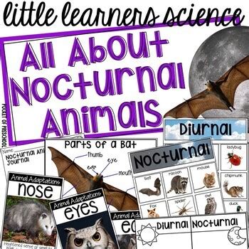 Nocturnal Animals - Science for Little Learners (preschool, pre-k