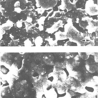 SEM Microphotographs Showing The Surface Morphology Of T12Ba2CaCu208