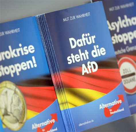 Bundestagswahl: Ein AfD-Wähler sagt, warum er rechts wählt - WELT