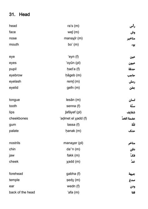 Egyptian Arabic Vocabulary Head Learn Arabic Language Thai Words