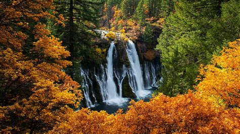 Burney Falls California Fall River Trees Autumn Colors Usa Hd