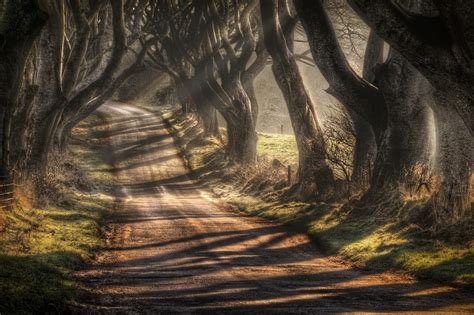 Landscape Sunlight Road Nature Trees Hdr Fence Wallpapers Hd
