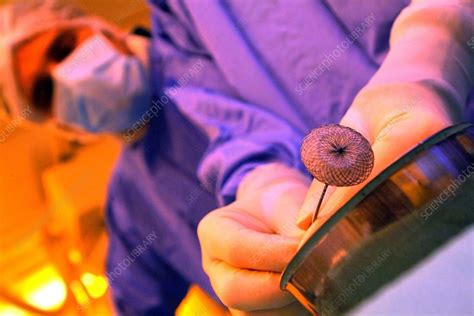 Hole In The Heart Treatment Stock Image C0090590 Science Photo