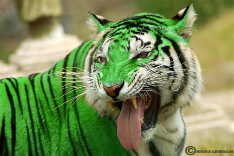 Green Tiger By Deathangle121 On Deviantart