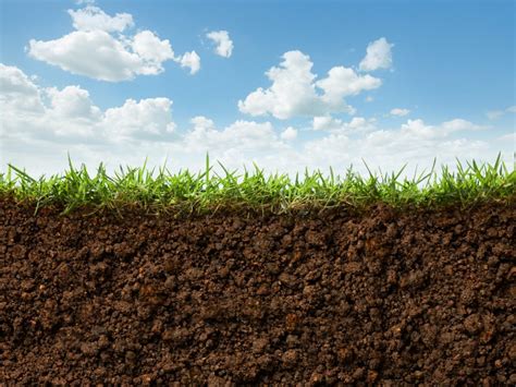 Learn What Soil Is Made Of And How To Amend Soil Gardening Know How