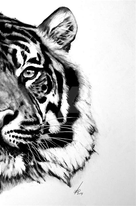 Half Series Sumatran Tiger By Salt25 Tiger Art Cat Art Painting