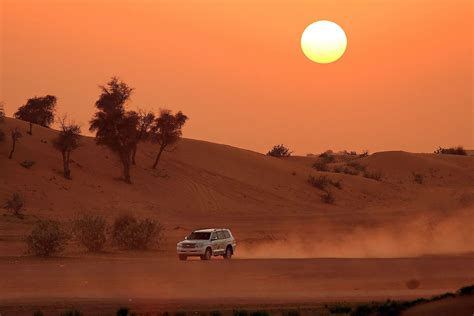 Desert Life Tourism Widest Range Of Desert Safari Tour Dubai Desert