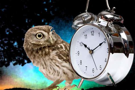 Why Youre An Early Bird Or Night Owl Mindful Living Everyday