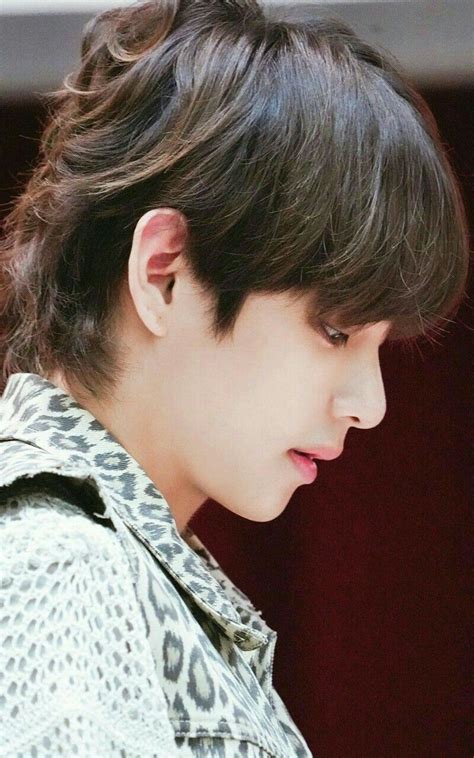 Bts V Profile 2020 Btsmayr