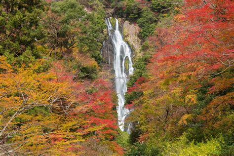 「神庭の滝」西日本最大級の落差110mを誇る名瀑。日本の滝百選 ピクスポット 絶景・風景写真・撮影スポット・撮影ガイド・カメラの使い方