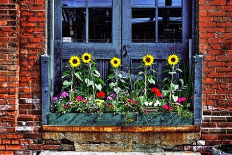18 Colorful Window Box Gardening Ideas Hometriangle