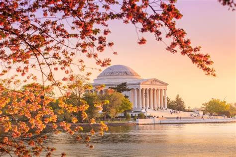 Relocating To Washington Dc Relocation Guide They Synergy Group