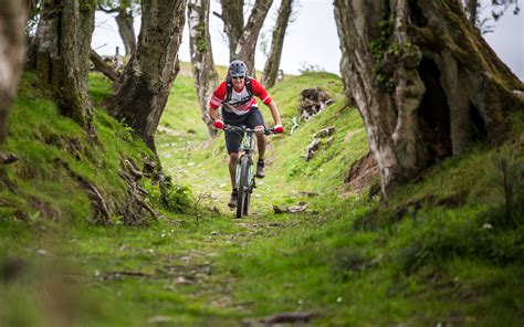 Coed Nercwys Multi User Trail Ride North Wales
