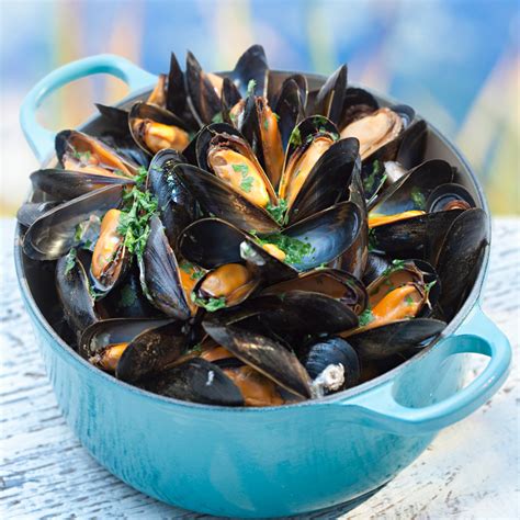 Moules recettes vidéos et dossiers sur moules