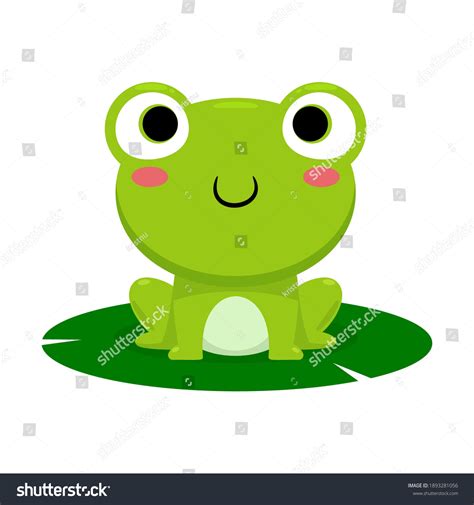 웃는 개구리 격리된 벡터 그림 스톡 벡터로열티 프리 1893281056 Shutterstock