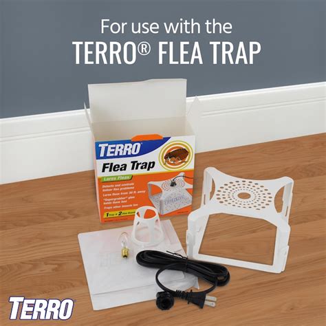 Terro Flea Trap Refill Glue Boards Indoor Insect Trap 3 Pack In The