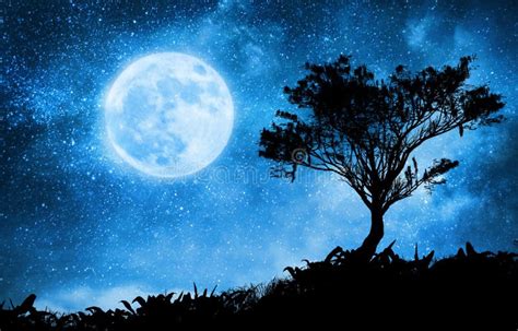 Un Paisaje Mágico De La Noche Con El árbol Y El Cielo Estrellado Stock