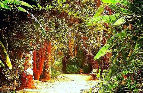 A La Découverte Du Jardin Du Paradis Et Du Zoo De Tozeur Polture