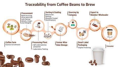 Schäfer Buchstabieren Algebraisch Coffee Supply Chain Minimieren