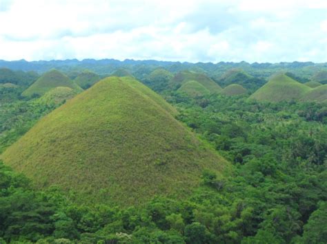 4 Top Attractions And Things To Do In Bohol Philippines