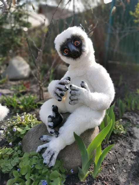 Sifunchik by Natali Kushch on | Cute animals, Puppets, Lemur