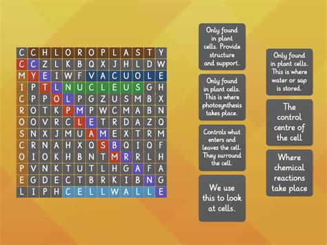 Cells Wordsearch