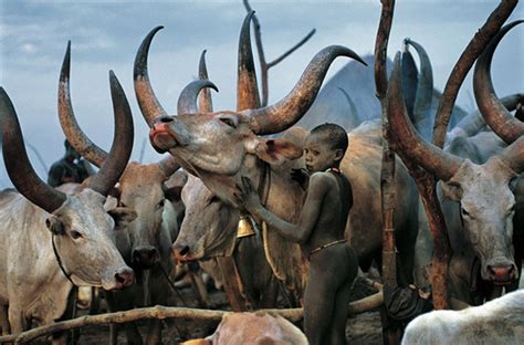 powerful photographs show the daily life of the dinka people of southern sudan