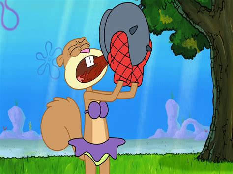 Spongebuddy Mania Spongebob Episode Squirrel Record