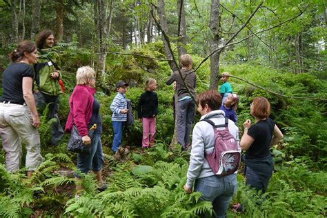 Kompetenz hoch oben im schwarzwald: Bildergalerie - caritas-haus-feldberg.de
