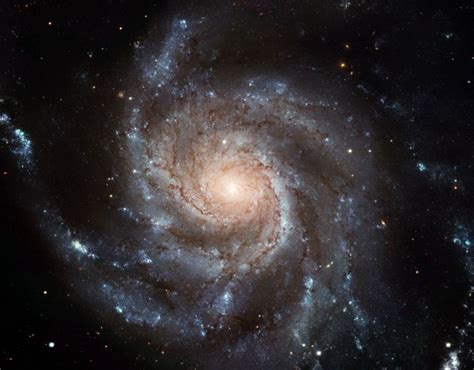 What Lies In The Great Pinwheel Galaxy Scienceblogs
