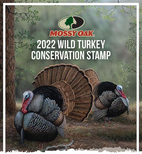 wild turkey stamp mossy oak