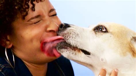 Why Do Dogs Lick Their Lips When You Kiss Them
